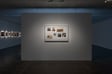 Derek Jarman: Delphinium Days by Derek Jarman