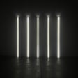 Primary Lines by Cobi Cockburn