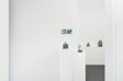 Isabella Edwards: Surrounds by Isabella Edwards