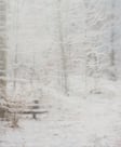 Fade Into Form by Amelia Carroll, Aaron Aryadharma Matheson, Steven Harvey, Taras Kripps, Beth Perry + 1 more