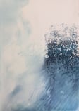 Peregrination: A Sub Antarctic Odyssey by Kathy Reilly