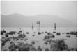 One Wall by Nicholas Burry, Marie Porter, Evelyn Fink, Jamie Price, Lily-Rose Claypole + 2 more