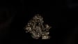 There is (no) Anthropocene by Miranda Bellamy, Amanda Fauteux, Colleen Coco Collins, Janine Randerson, Arielle Walker + 2 more