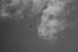 The Sky Between Us by Gillian Kayrooz, L-FRESH The LION, Rose Bahatta, Rozana Dedovic, Japneet Kaur Saini + 2 more