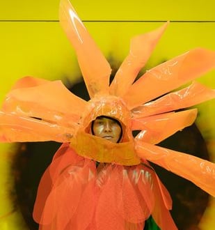 Shit Flowers