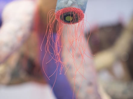 Te puku o te taniwha