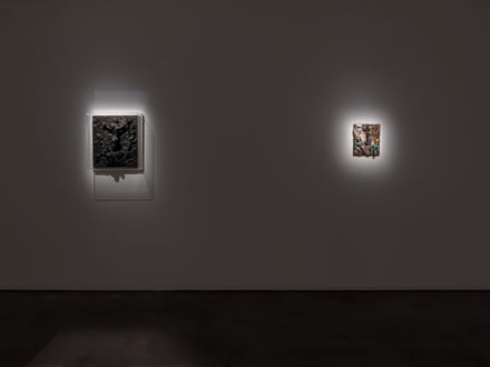 Derek Jarman: Delphinium Days