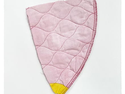Carapace