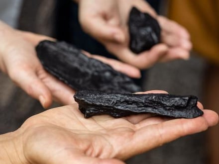 Lithic Bodies