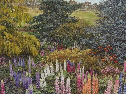 Grasses, Tussocks & Sedges