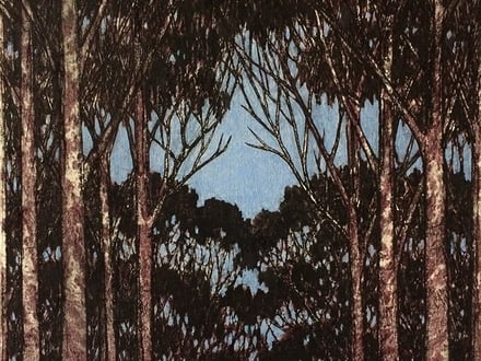Graham Hallett – motif
