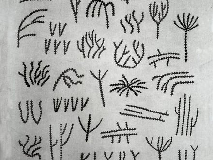 Krack Studio Screen Print Showcase