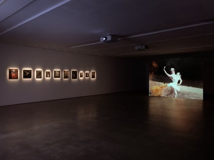 Derek Jarman: Delphinium Days