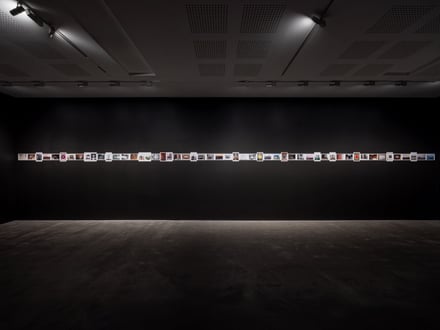 Derek Jarman: Delphinium Days