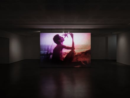 Derek Jarman: Delphinium Days