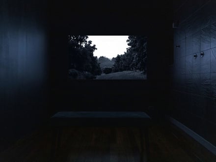 My throat/a shelter
