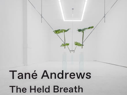 The Held Breath