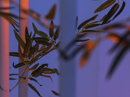 The Floating Bamboos Hang Across the Southern Court
