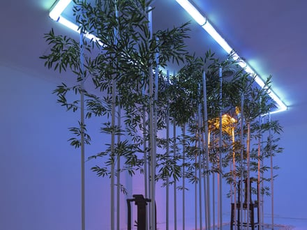The Floating Bamboos Hang Across the Southern Court