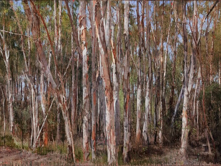 Autumn Group Exhibition