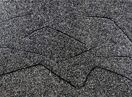 Desert Sands