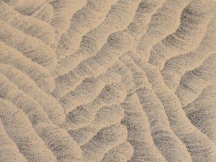 Desert Sands