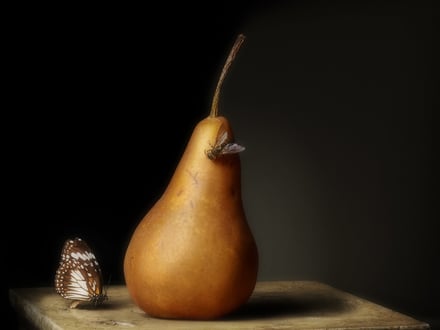 The Fruits of Curiosity