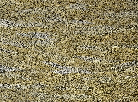 Desert Sands