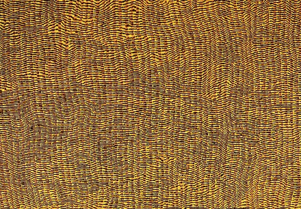 Desert Sands