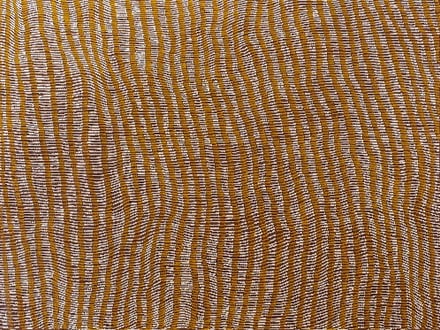 Desert Sands