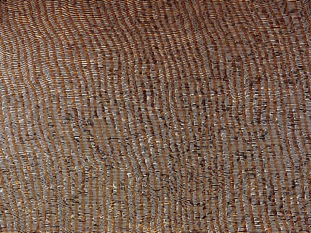 Desert Sands