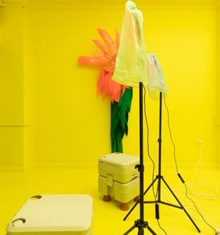 Shit Flowers