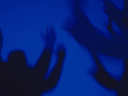 Derek Jarman: Delphinium Days