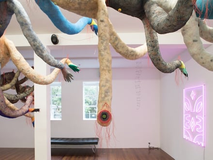 Te puku o te taniwha