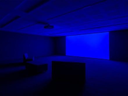 Derek Jarman: Delphinium Days