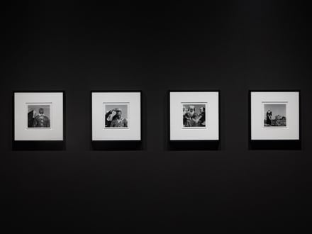 Derek Jarman: Delphinium Days