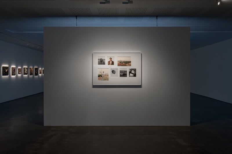 Derek Jarman: Delphinium Days
