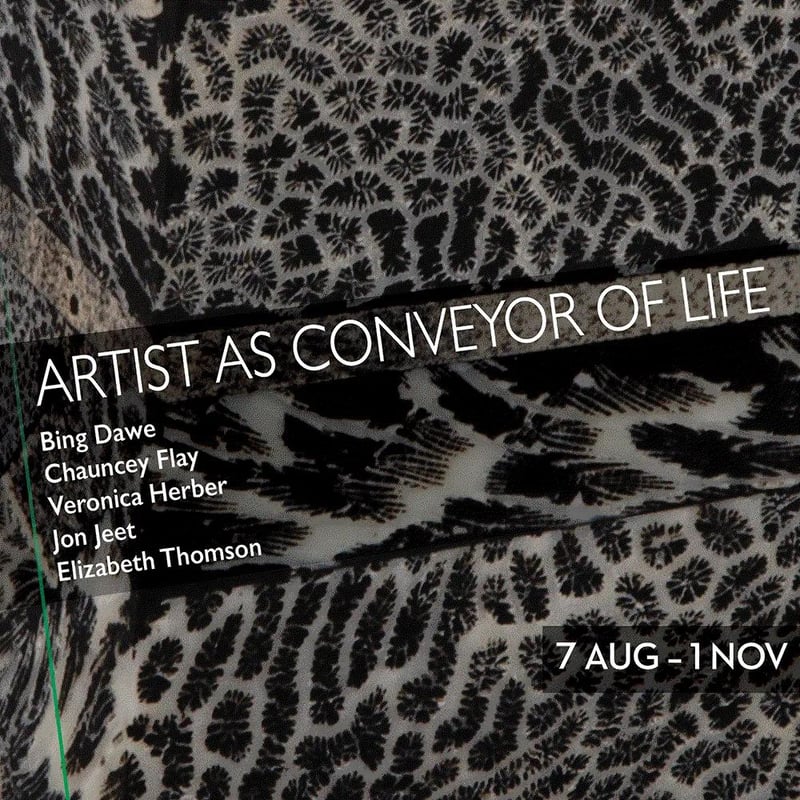 Artist as Conveyor of Life