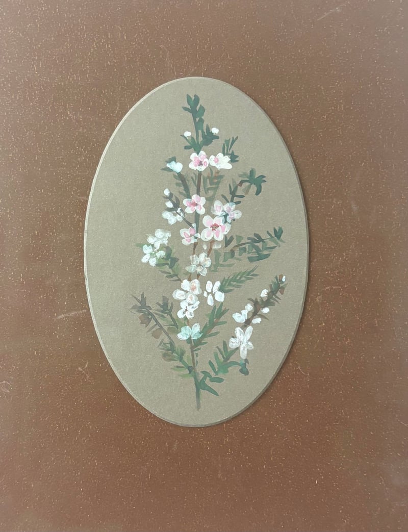 Botanical Correspondents: Crossing time with Julia Holderness and Emily Cumming Harris