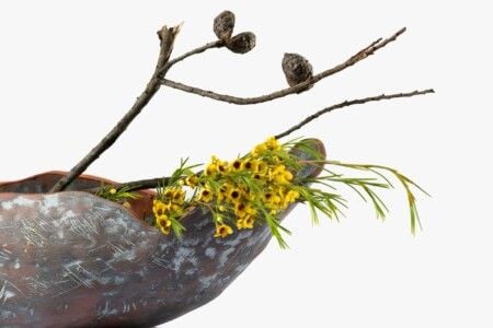 Nature / Nurture