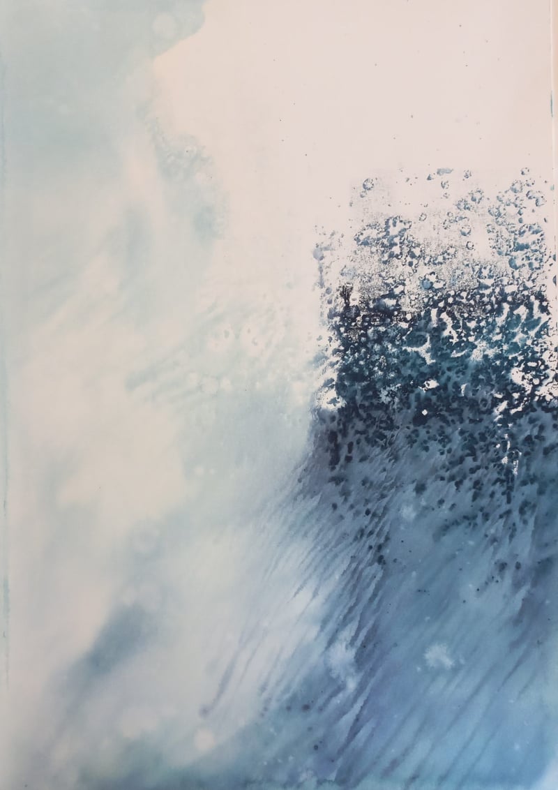 Peregrination: A Sub Antarctic Odyssey