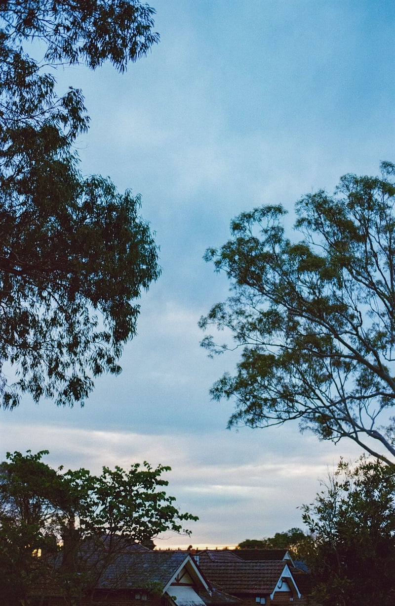 All that surrounds